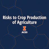 Risks to Crop Production in Agriculture